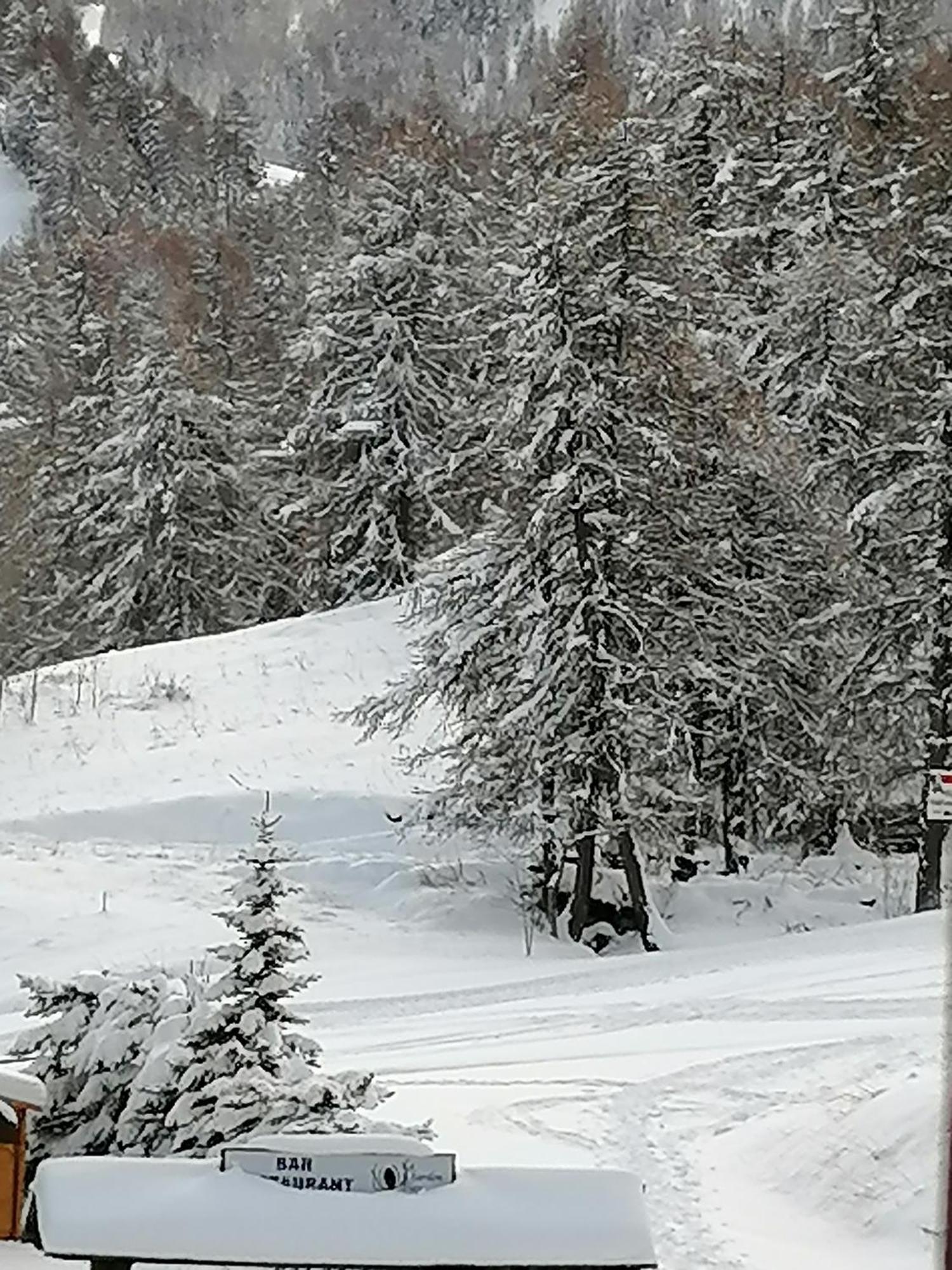 Coeur D'Altair Risoul 1850 Appartement T2 Confortable Skis Aux Pieds A 300 M Centre Bagian luar foto